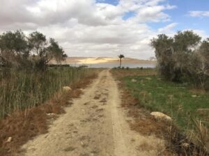 السياحة العلاجية والإستشفائية في محمية قارون