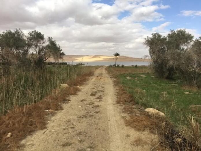 السياحة العلاجية والإستشفائية في محمية قارون